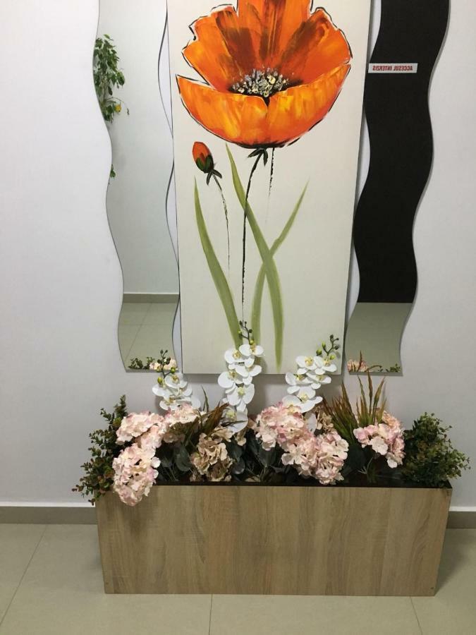 ホテル Elegance コスティネシュティ エクステリア 写真